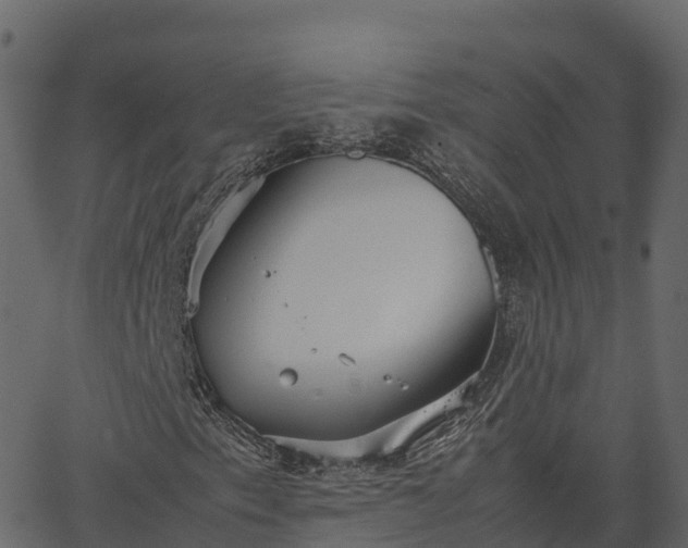 X0000066941153200603311410