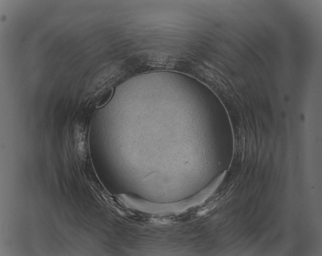 X0000066941154200603311410