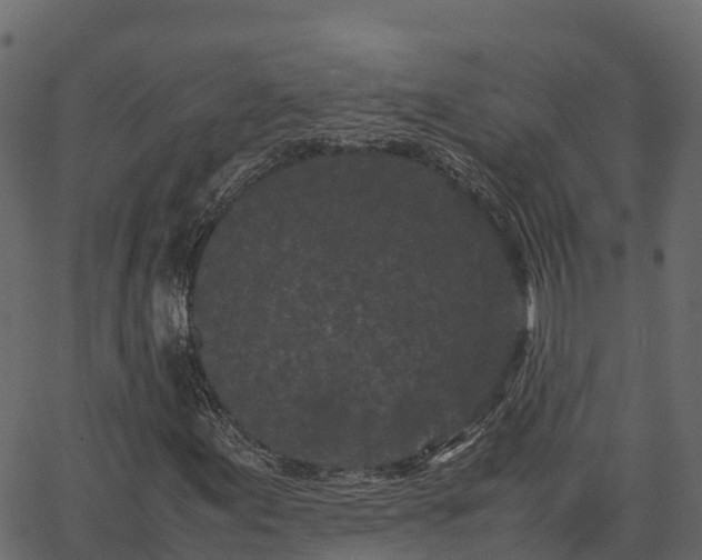 X0000066941155200603311410