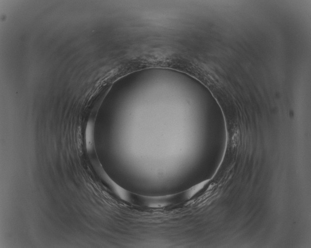 X0000066941156200603311410