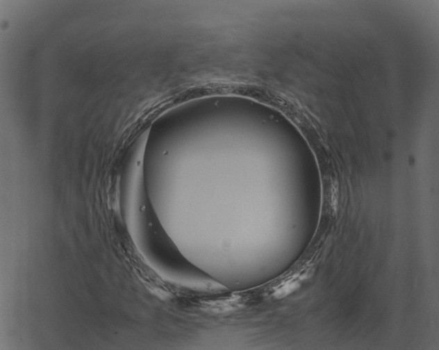 X0000066941157200603311410