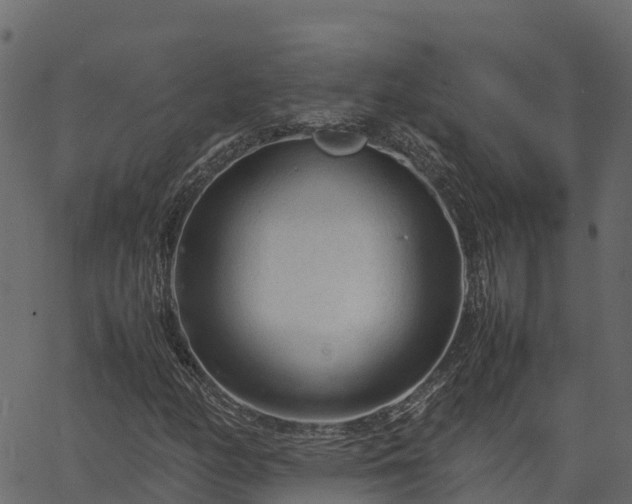 X0000066941158200603311410