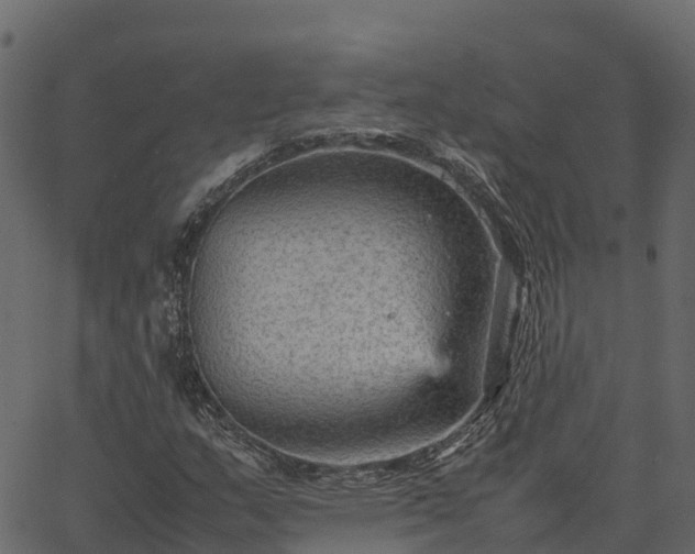 X0000066941159200603311410