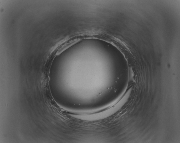 X0000066941160200603311410