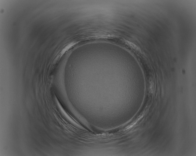 X0000066941161200603311410