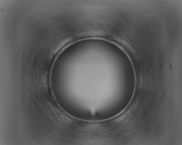 X0000066941162200603311410