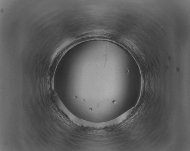 X0000066941164200603311410