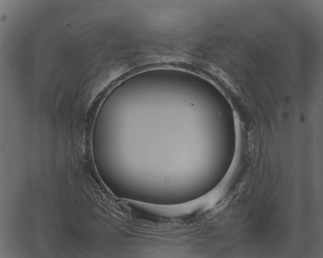 X0000066941165200603311410