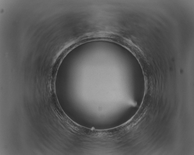 X0000066941166200603311410