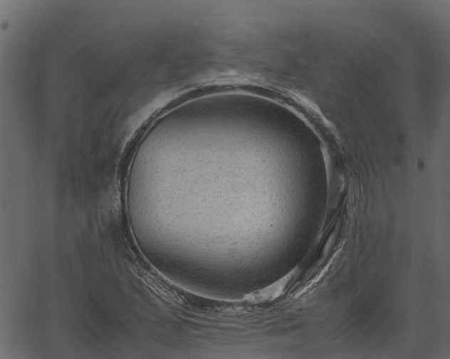 X0000066941167200603311410