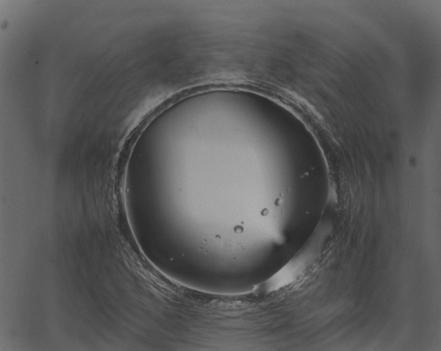 X0000066941168200603311410