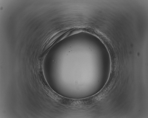 X0000066941169200603311410