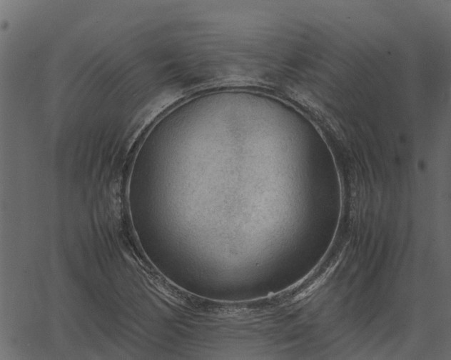 X0000066941170200603311410