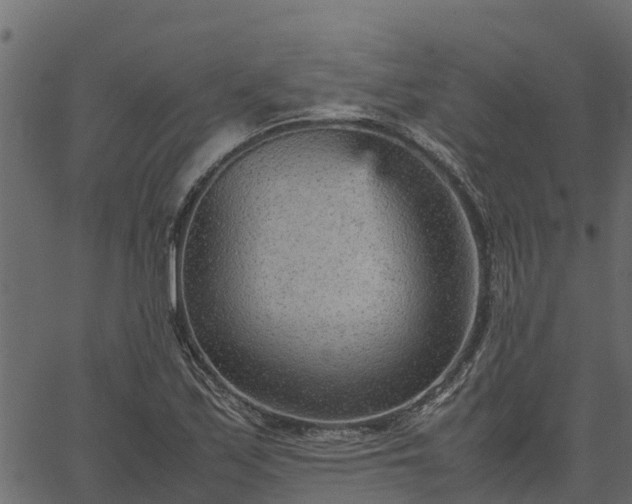 X0000066941171200603311410