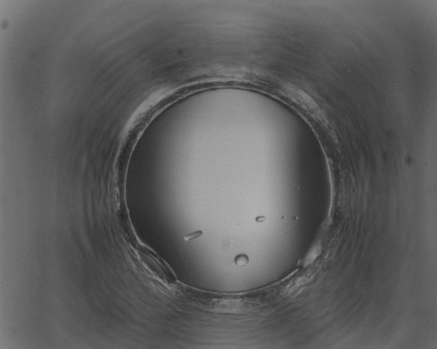 X0000066941172200603311409