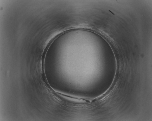 X0000066941174200603311409