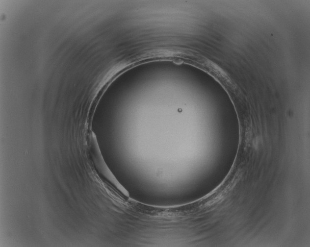 X0000066941178200603311409