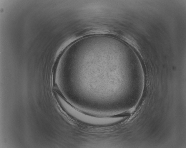 X0000066941179200603311409