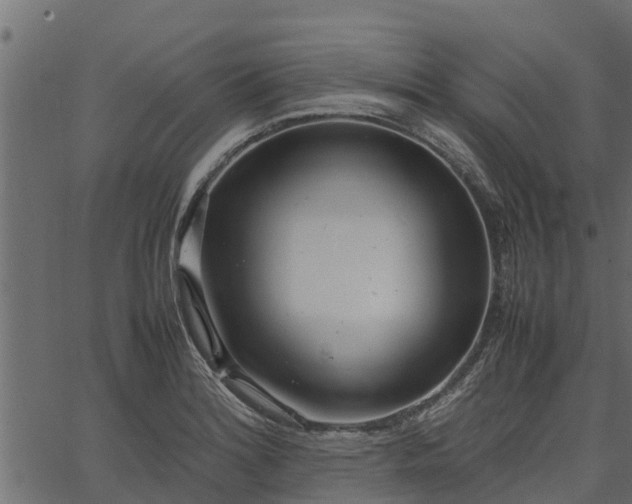 X0000066941180200603311409