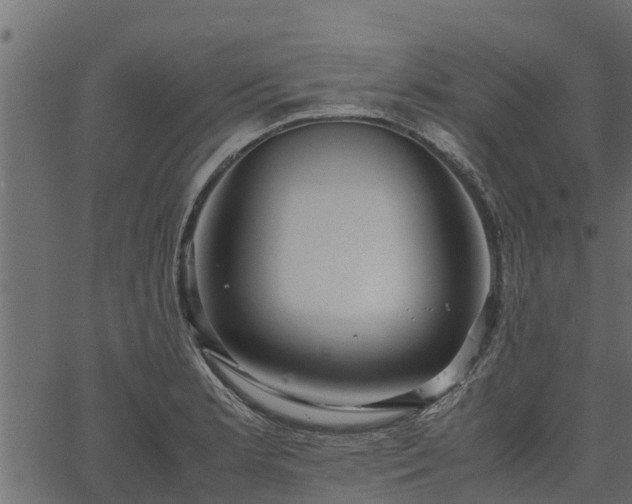 X0000066941181200603311409