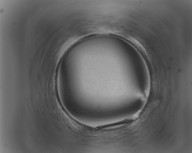 X0000066941183200603311409