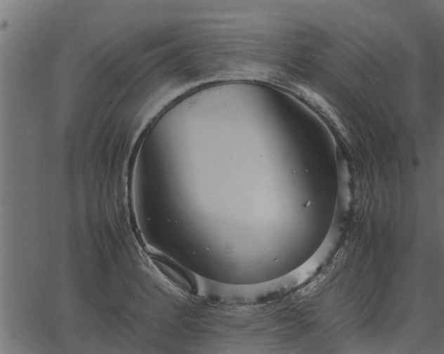 X0000066941184200603311409