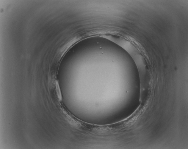 X0000066941185200603311409