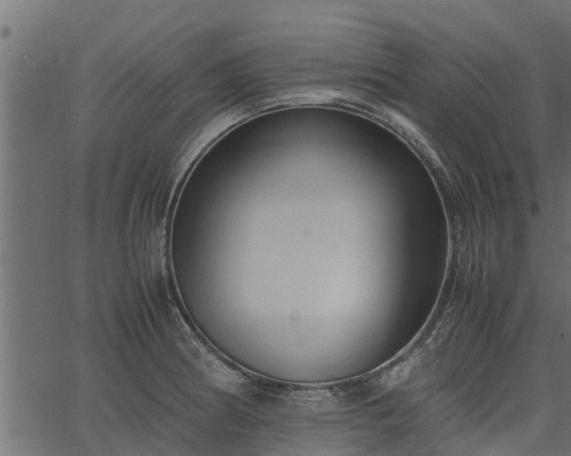 X0000066941186200603311409