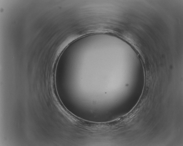 X0000066941187200603311409