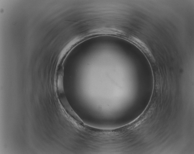 X0000066941188200603311409