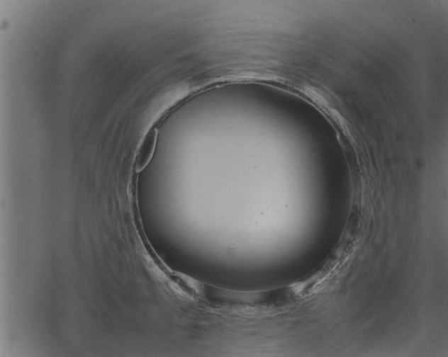 X0000066941189200603311409