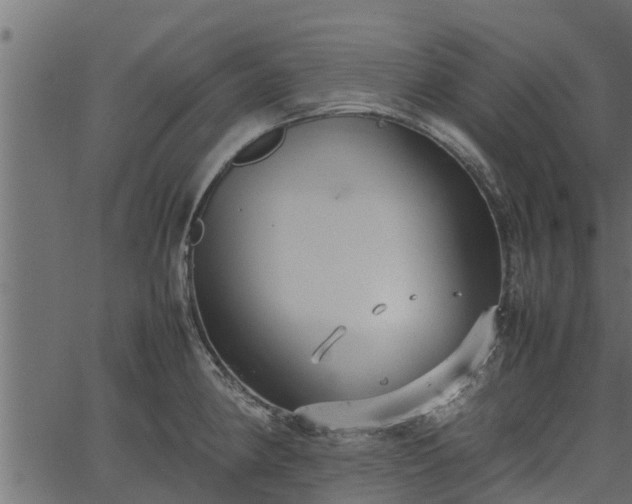 X0000066941190200603311409