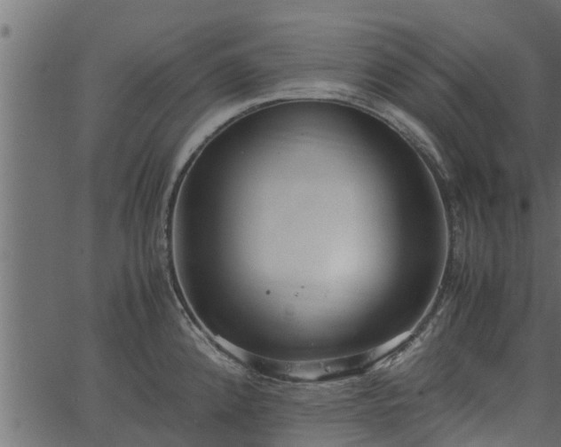 X0000066941192200603311409