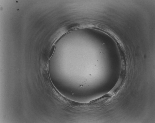 X0000066941193200603311409