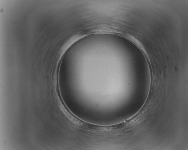 X0000066941195200603311409