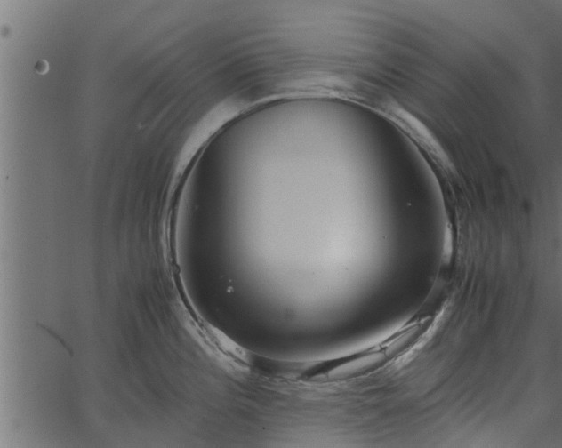 X0000066941196200603311409