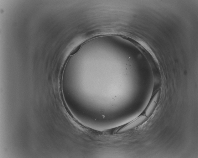 X0000066941197200603311409