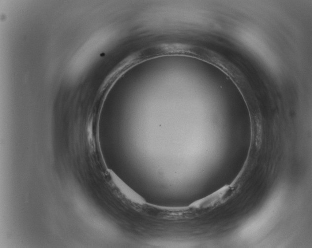 X0000066941198200603311409