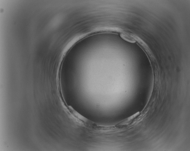 X0000066941199200603311409