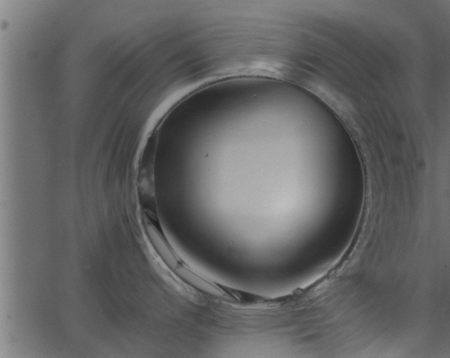 X0000066941200200603311409