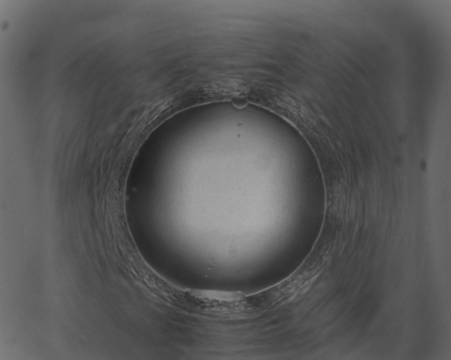 X0000066941201200603311408