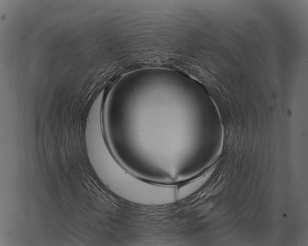 X0000066941202200603311408