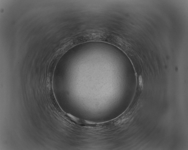 X0000066941203200603311408