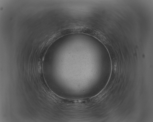 X0000066941204200603311408