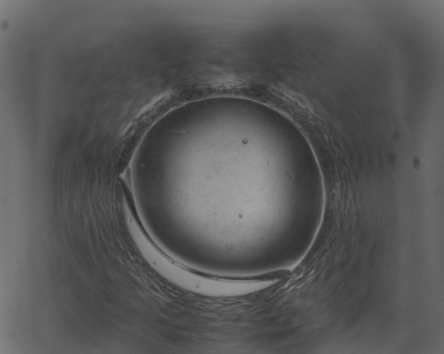 X0000066941205200603311408