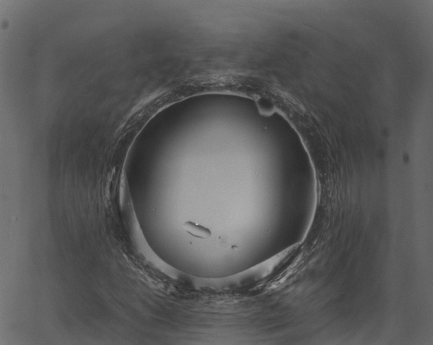 X0000066941206200603311408