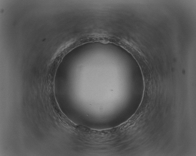 X0000066941207200603311408