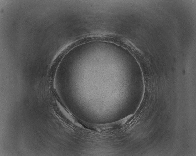 X0000066941208200603311408