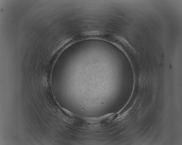 X0000066941209200603311408