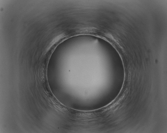 X0000066941211200603311408